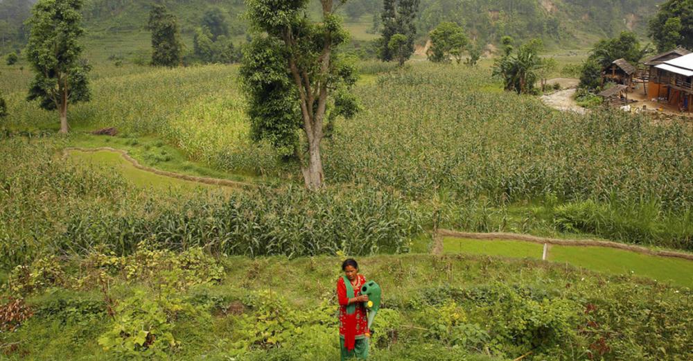 Over $39 million earmarked by UN-backed fund to combat effects of climate change in Nepal