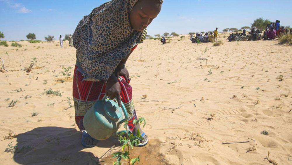 UN summits to urge ‘ambition and action’ on climate change, sustainable development: Guterres UN summits to urge ‘ambition and action’ on climate change, sustainable development: Guterres