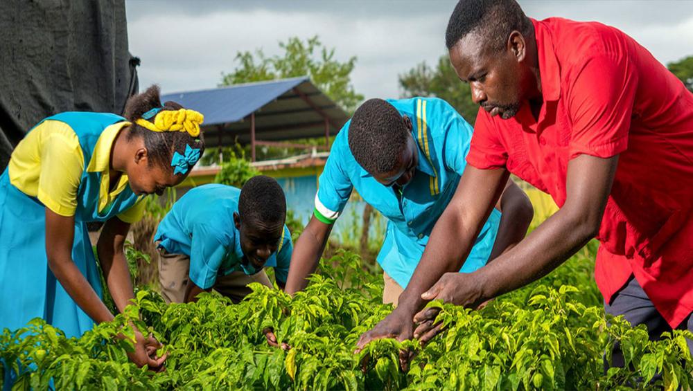 Island nations on climate crisis frontline ‘not sitting idly by’ Island nations on climate crisis frontline ‘not sitting idly by’