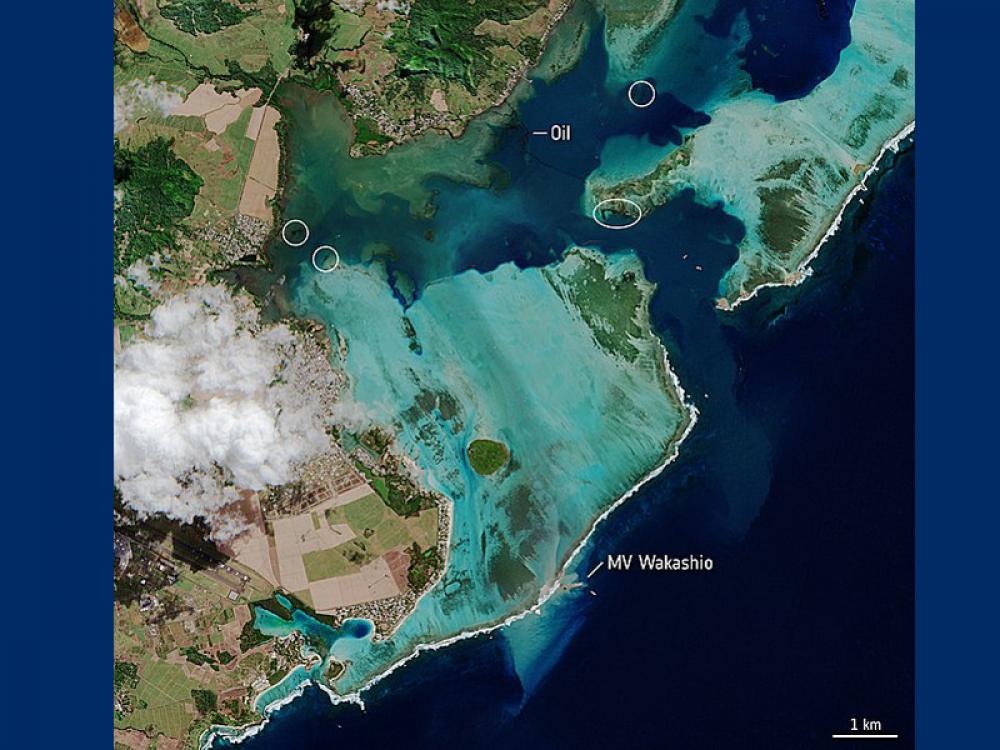 Mauritius asks Japan to pay $34mln to help eliminate oil spill consequences - Reports Mauritius asks Japan to pay $34mln to help eliminate oil spill consequences - Reports