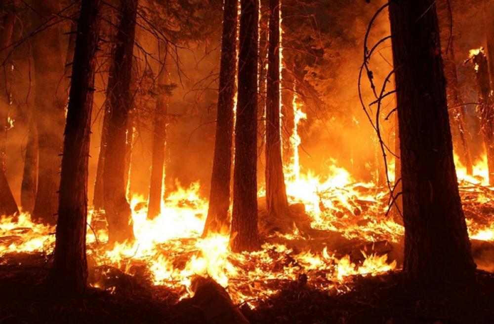 US: At least 3 people killed in California wildfire