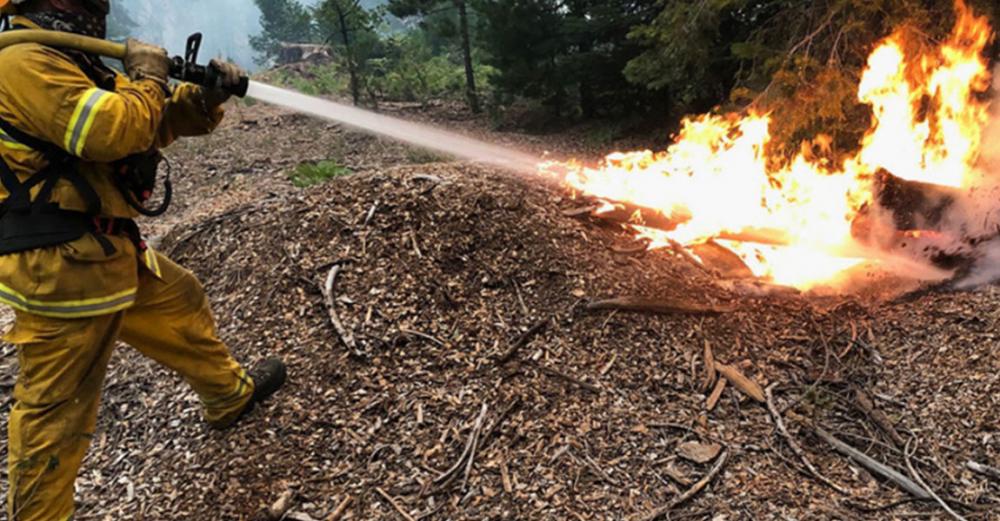 Climate change: Record northern heat, fuels concerns over US wildfire destruction