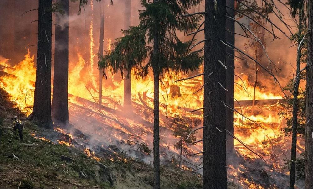 Australia wildfires: 'Mega blaze' may hit parts of the nation on Friday 