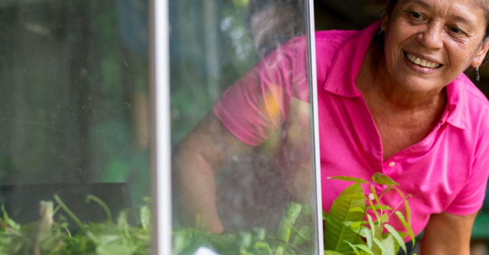 Biodiversity ‘fundamental’ for global food systems, at “heart’ of development – UN agriculture chief Biodiversity ‘fundamental’ for global food systems, at “heart’ of development – UN agriculture chief