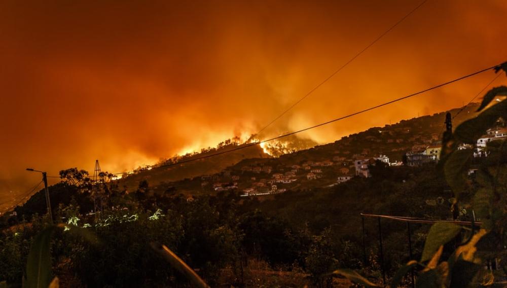 Syria: Fire crews extinguish wildfires
