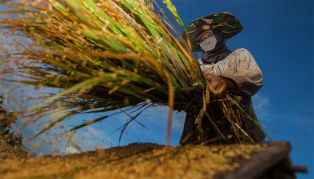 2021: Critical year to ‘reset our relationship with nature’, says UN chief