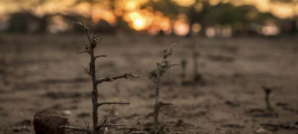 UN climate report a ‘red alert’ for the planet: Guterres UN climate report a ‘red alert’ for the planet: Guterres