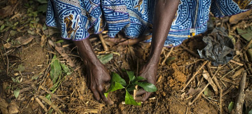 Commit to restoring the planet, UN chief says in message for International Mother Earth Day