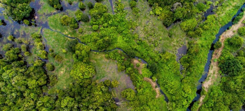 Guterres renews zero-emissions appeal to avoid falling into climate abyss