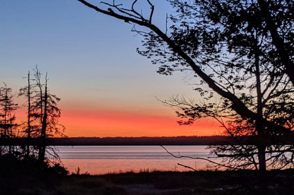 Everyone will lose unless humanity makes ‘peace with the planet’, declares Guterres