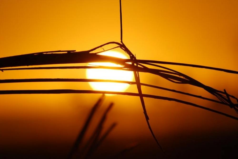 Canada registering record-breaking heatwave, several dead