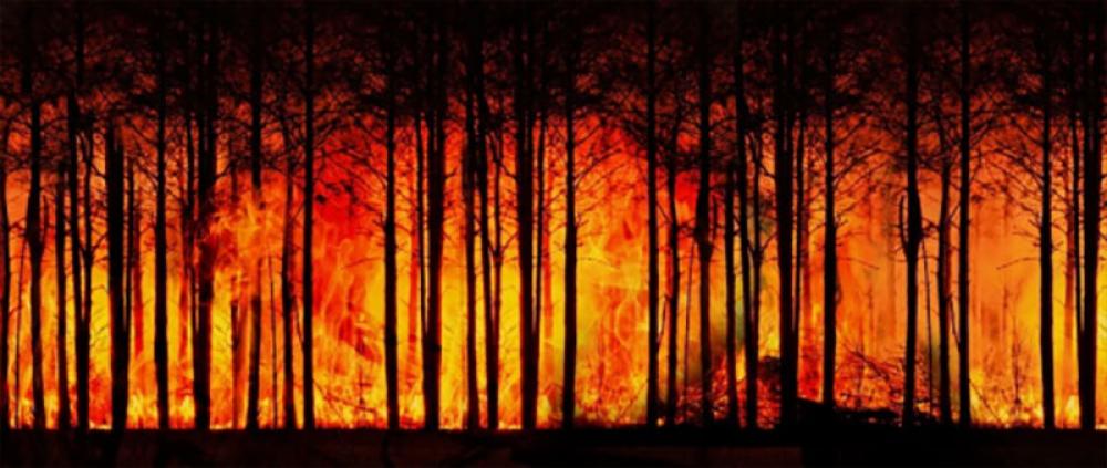 Climate change is widespread, rapid, and intensifying, says IPCC Climate change is widespread, rapid, and intensifying, says IPCC