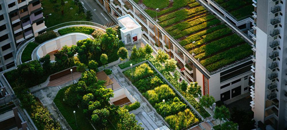 UN chief promotes ‘enormous’ benefits of greener cities UN chief promotes ‘enormous’ benefits of greener cities