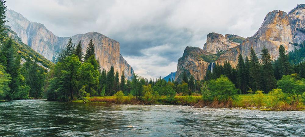 World Heritage forests releasing more carbon than they absorb: UNESCO World Heritage forests releasing more carbon than they absorb: UNESCO