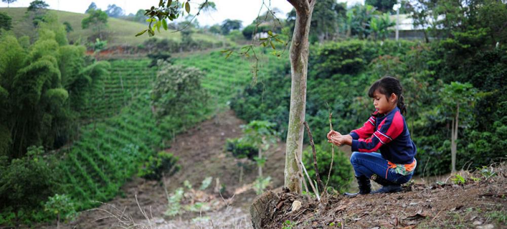 Many countries ‘unsupported and unprepared’ to address climate health risks: WHO