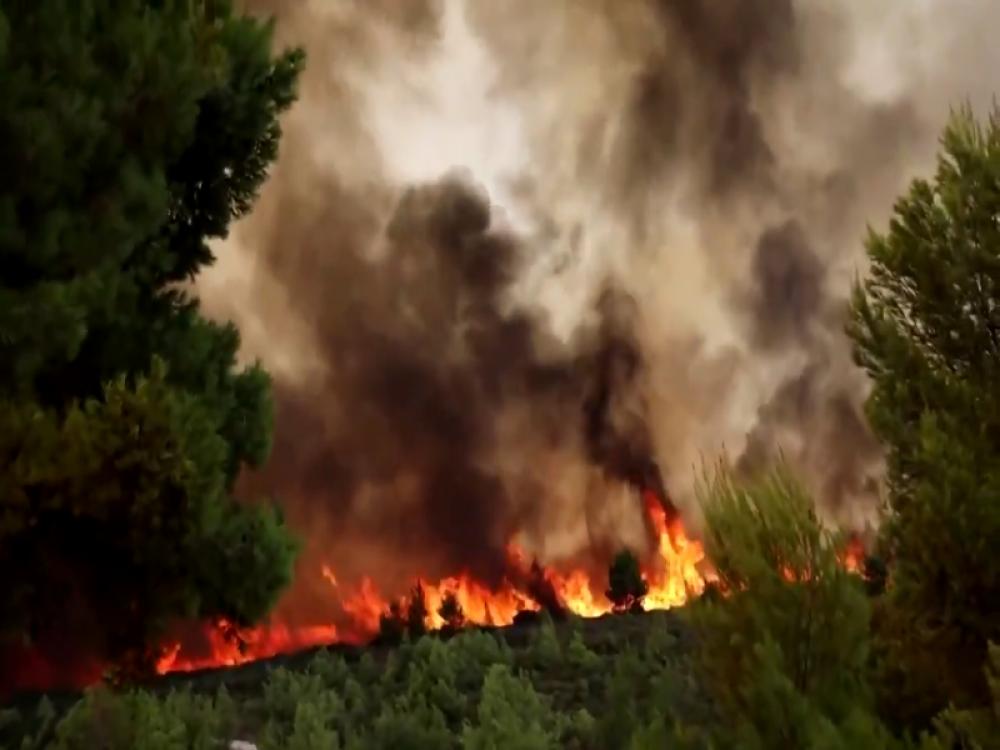 Wildfires devastate Greece, thousands evacuated