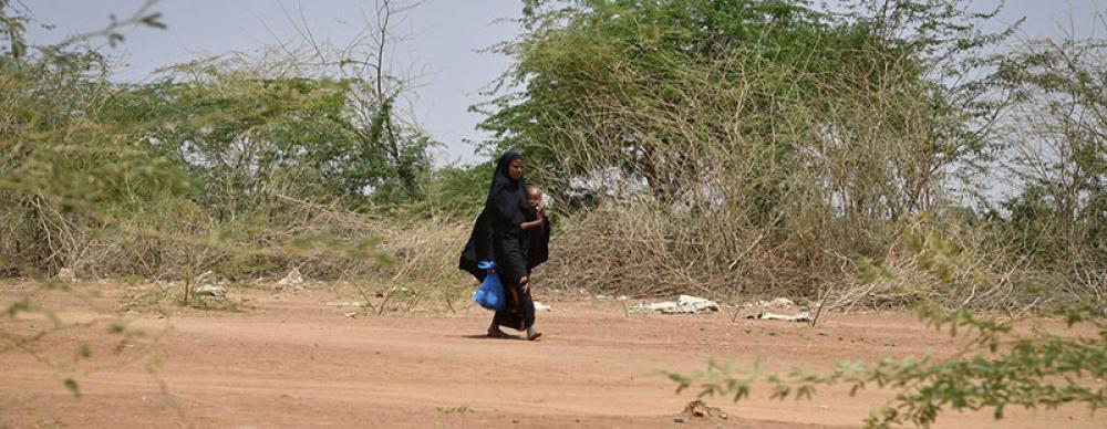 Growing risk of Somalia famine, as drought impact worsens