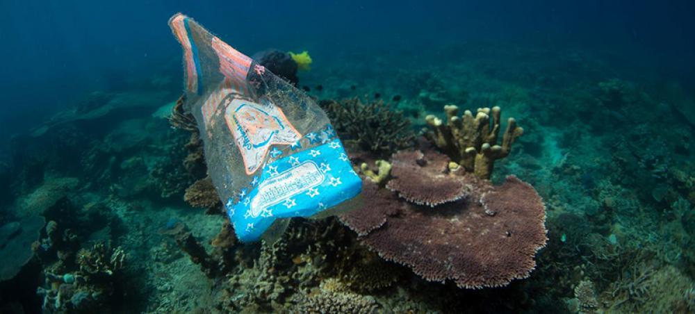 Tackling marine pollution: Individual action, key to ocean restoration