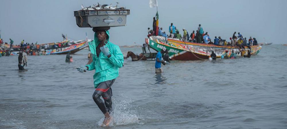 A visionary ‘blue transformation’ strategy to enhance underwater food systems