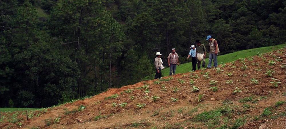 FAO warns 90 per cent of Earth’s topsoil at risk by 2050 FAO warns 90 per cent of Earth’s topsoil at risk by 2050
