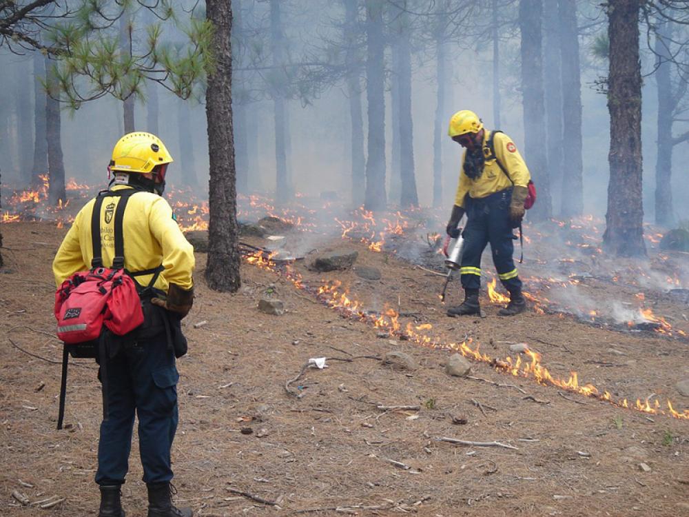 Spain declares catastrophe zones for fire-hit regions