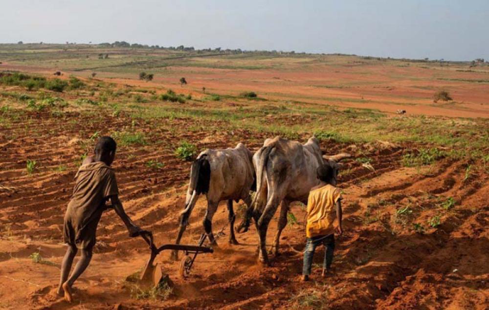 UN chief: Countries bound for COP27 must make climate action ‘the top global priority’ UN chief: Countries bound for COP27 must make climate action ‘the top global priority’