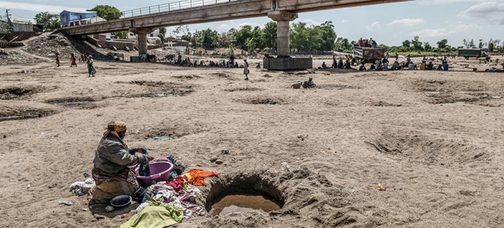 Climate crisis and migration: Greta Thunberg supports IOM over ‘life and death’ issue