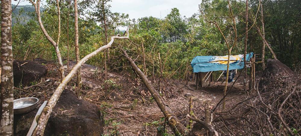 Viet Nam: UN rights office condemns crackdown on climate activists Viet Nam: UN rights office condemns crackdown on climate activists
