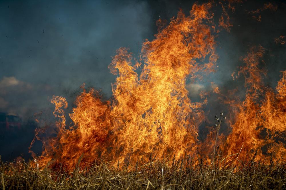 Mediterranean wildfires leave 40 dead