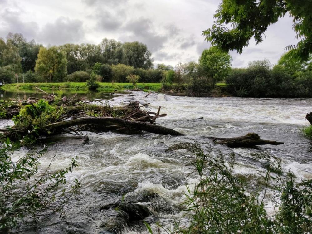 Pakistan: 71 dead, 86 injured in KP rains, flash floods amid raging Monsoon Pakistan: 71 dead, 86 injured in KP rains, flash floods amid raging Monsoon