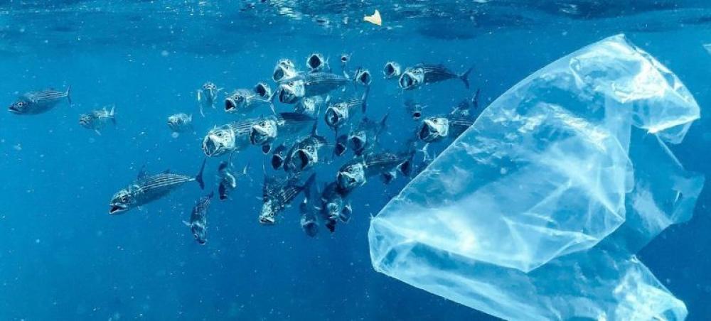 Plastic pollution talks get underway in Geneva Plastic pollution talks get underway in Geneva