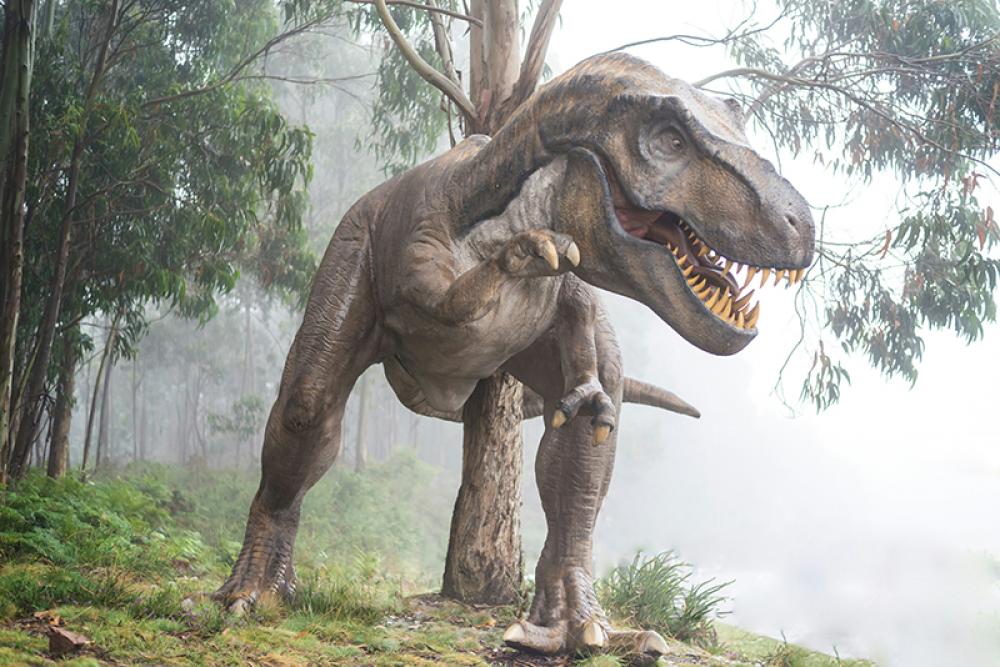 T. rex took 40 years to become a monster&mdash;You won&rsquo;t believe how scientists found out 