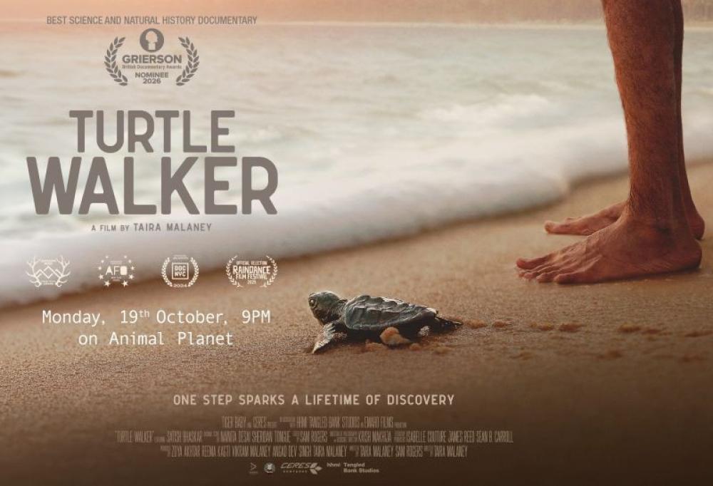 Award-winning documentary 'Turtle Walker' to premiere on Animal Planet