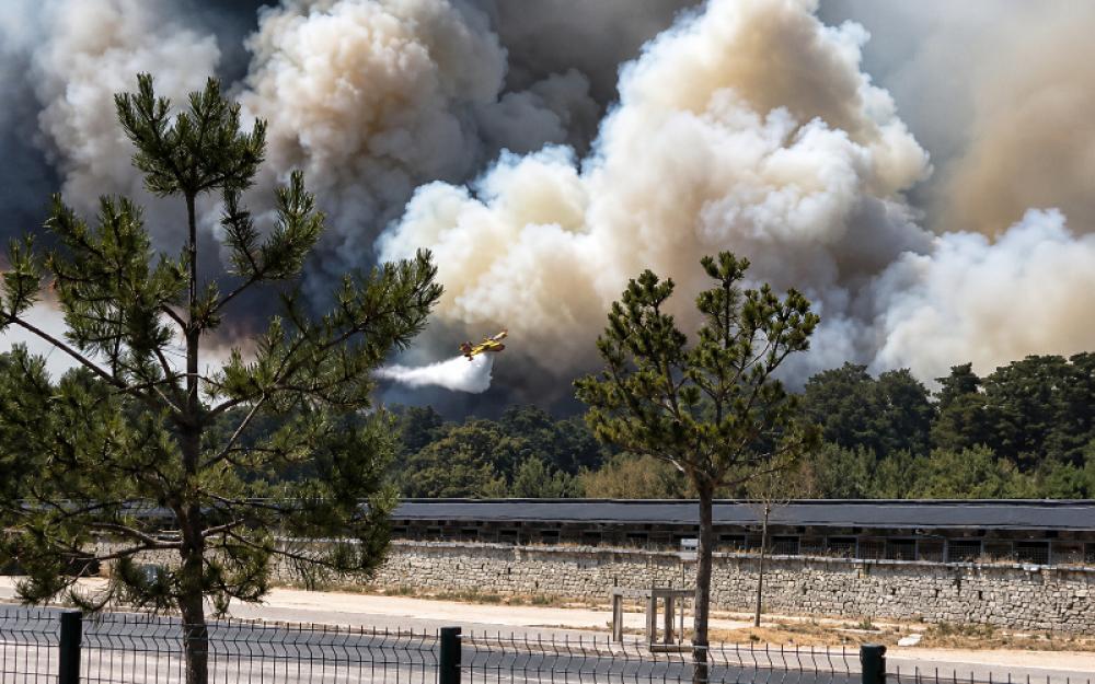 Europe heatwave fuels devastating wildfires: Forest burns near Paris, Spain counts fire victims