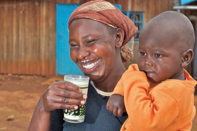 UN urges access to non-traditional dairy products