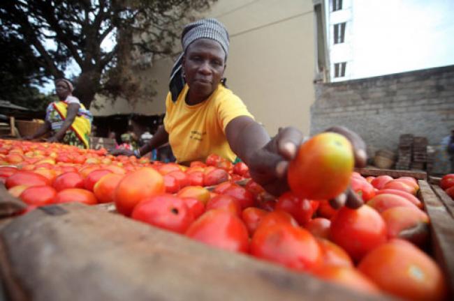 UN urges change in food systems to improve nutrition