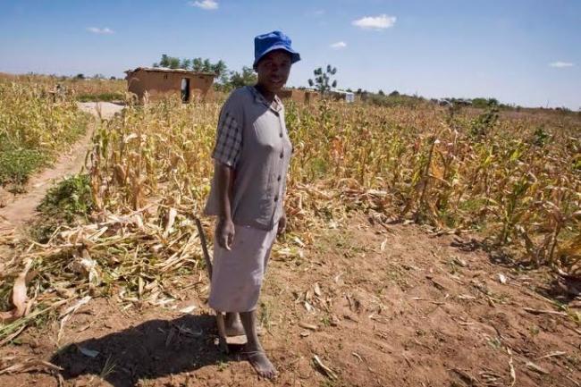 El Niño: UN emergency fund supports millions in affected countries