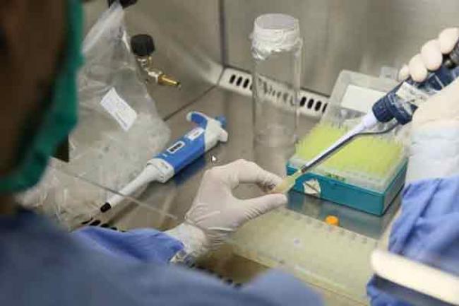Zika ‘on doorstep of Africa,’ UN health agency warns after virus confirmed in Cabo Verde