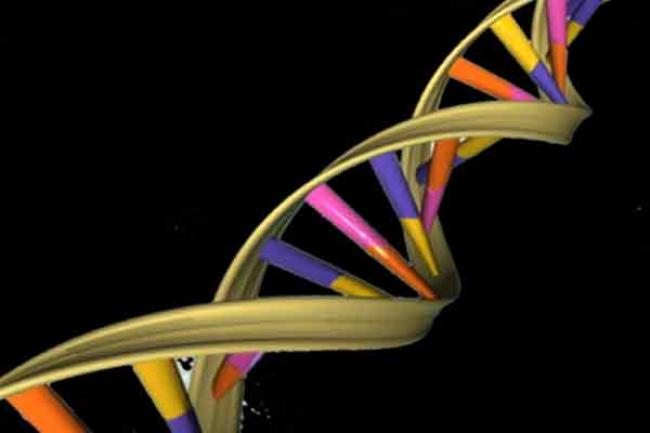 Silencing of gene affects people’s social lives, study shows