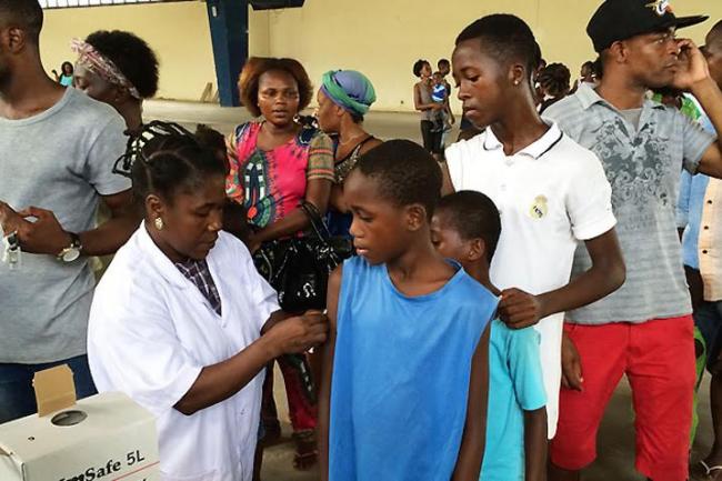 Measures to control yellow fever still needed despite drop in number of cases – UN health agency