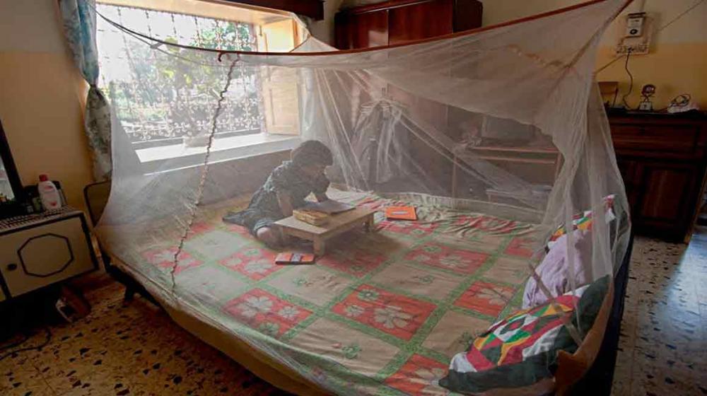 Ahead of World Malaria Day, UN says 'let's close the gap' in prevention coverage