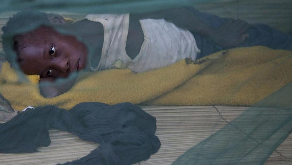 UN health agency launches action plan as global malaria cases rise