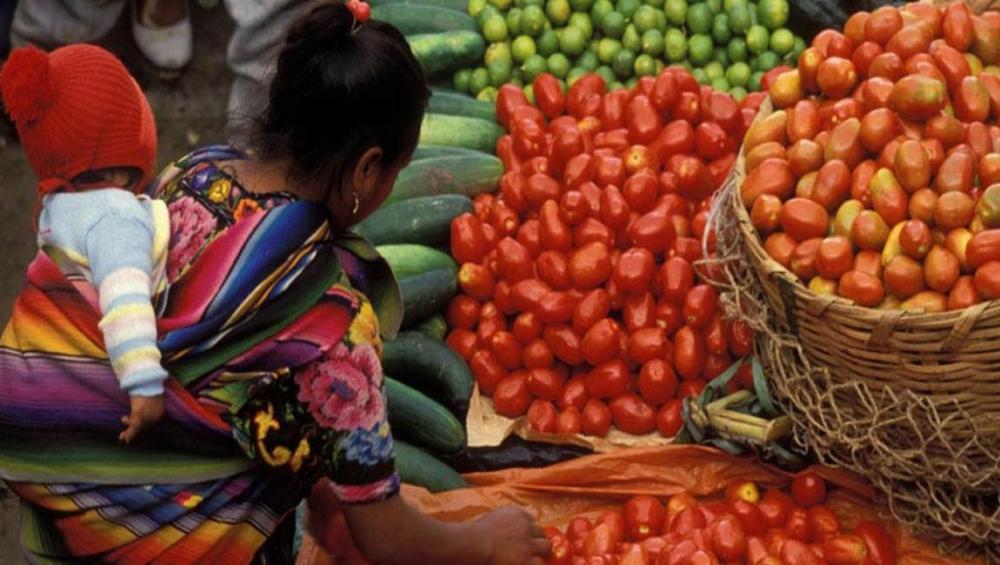 UN agriculture chief urges ‘transformative changes’ to how we eat UN agriculture chief urges ‘transformative changes’ to how we eat