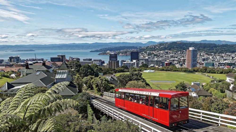 New Zealand reports no new community case of COVID-19 New Zealand reports no new community case of COVID-19