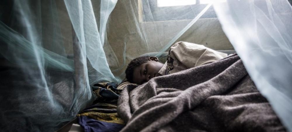 COVID-19 threatens global progress against malaria, warns UN health agency