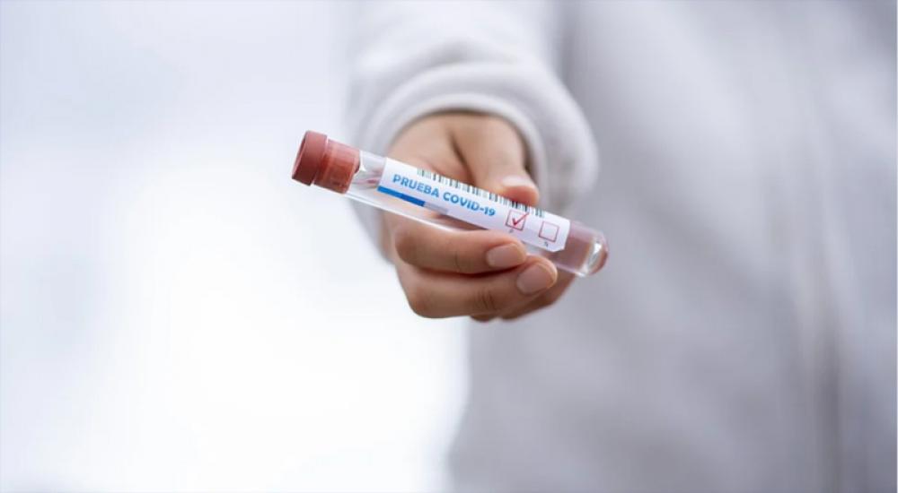 New Zealand reports four new cases of COVID-19 New Zealand reports four new cases of COVID-19