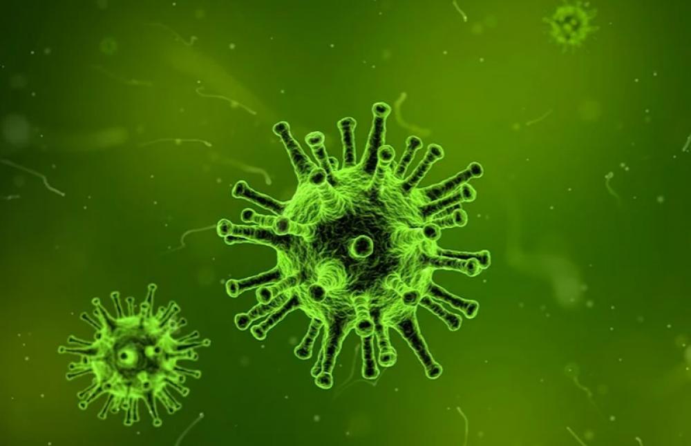 Japan allocates 94 million USD to combat novel Coronavirus