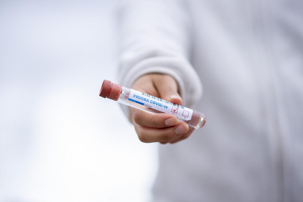 New Zealand confirms no new case of COVID-19 for 11 consecutive days New Zealand confirms no new case of COVID-19 for 11 consecutive days