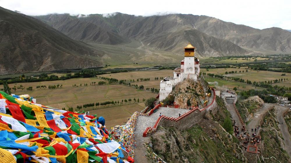 Tibet reports first suspected case of novel coronavirus pneumonia