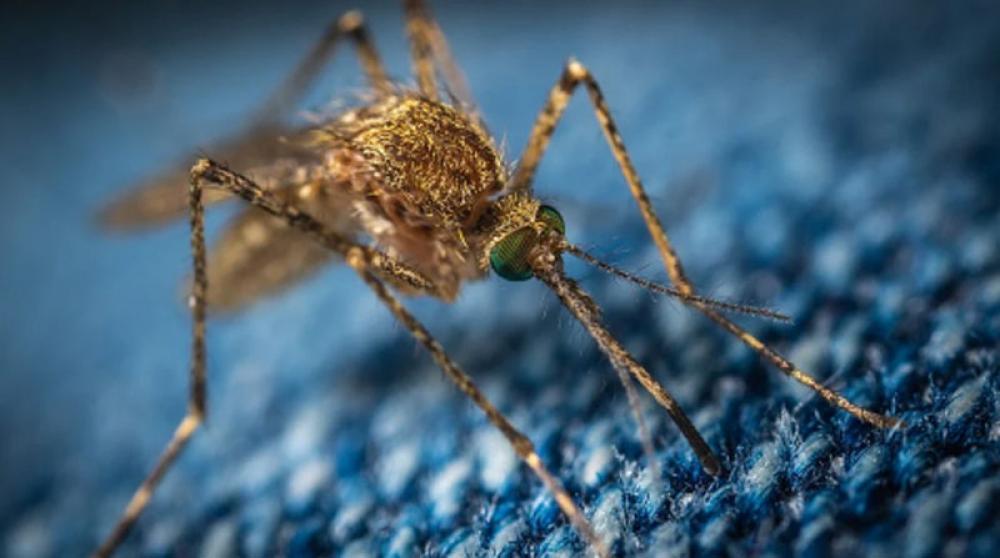 Nepal remains vulnerable to Zika virus outbreak